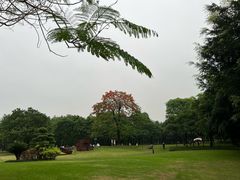 -顺峰山公园