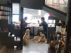 -百好乐宠物友好餐厅(朝外大街店)