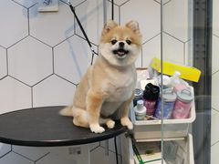 -萌兽医馆·眼科·异宠专科(三里屯店)