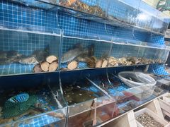 -宾朋海鲜特色美食餐厅·纯手工鲅鱼水饺(兴海路店)