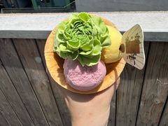 -亦家cake·0卡糖