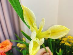 -森野花艺培训·企业团建活动沙龙