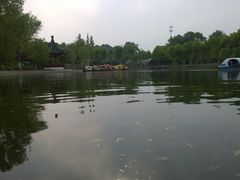 -泰州凤城河风景区-泰山公园