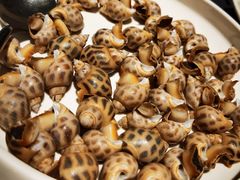 白灼灼花螺-徐记海鲜(曲江南湖店)