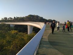 -飞凤山奥体公园