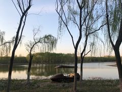 -东郊湿地公园