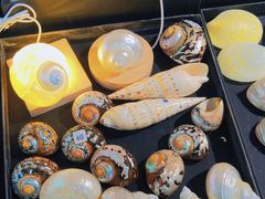 -摩登百货(岗顶店)