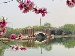 -石家庄市植物园