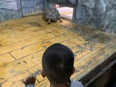 -石家庄市动物园