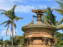 -墨尔本皇家植物园