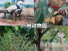 -府上酒店(广州火车站越秀公园地铁站店)