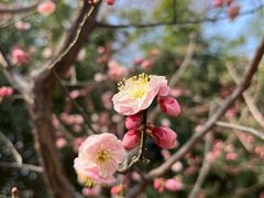 -颐和园