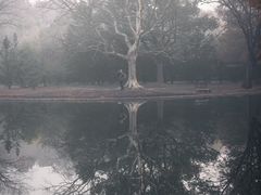 -上海共青森林公园