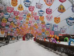 -沈阳奥体冰雪嘉年华