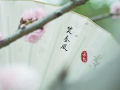 -天适樱花悠乐园