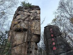 -汤旺河林海奇石景区