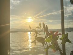 -柳莺湖上·湖景餐厅·江南菜(西湖店)