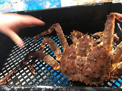 -盒马鲜生(杭州运河上街店)