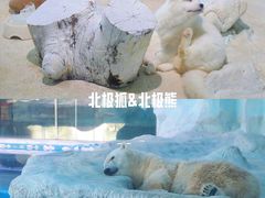 -珠海长隆海洋王国