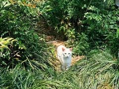 -衡山路(地铁站)