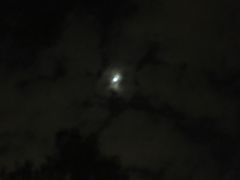 -大埔公路-马料水段香港中文大学(公交站)