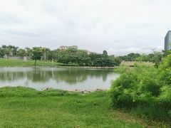 -宝安西湾红树林湿地公园