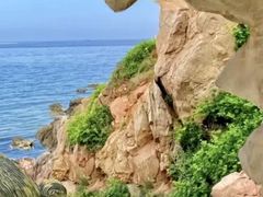 -养马岛旅游度假区