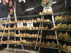 -都念榴莲·城市榴莲