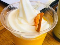 -雪绿茶博物馆