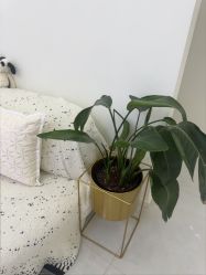 -苗方清颜专业祛痘·皮肤管理