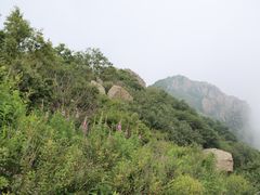 -白草畔自然风景区