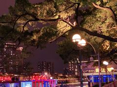 -珠江夜游省总码头