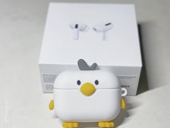 -Apple零售店(深圳益田假日广场店)
