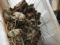 -芸海阁·农家私房菜(沙家浜景区出口店)