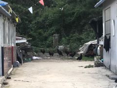-沂蒙山旅游区云蒙景区(蒙山国家森林公园)