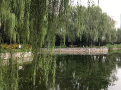 -望湖公园