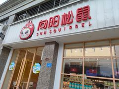 -向阳松鼠(恒大店)
