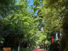 -城市运动公园(未央区)