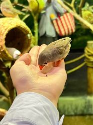 -Zoolung Zoolung动物主题公园(海信广场店)