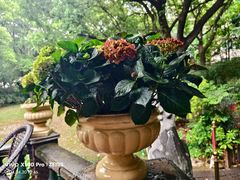 -马勒别墅·中餐厅