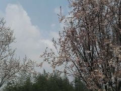 -白鹭湾湿地公园