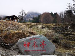 -硗碛藏寨·神木垒景区