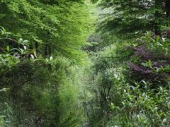 -新江湾城公园