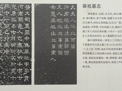 -洛阳古墓博物馆