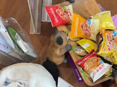 -宠爱国际动物医院·消化内科·心肾内科·ISFM猫友好(望京店)