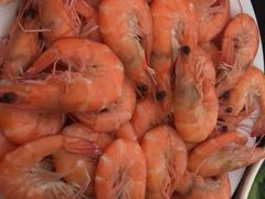 -茂名熹龙国际大酒店(人民广场高铁站店)