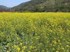 -北仑森林植物园