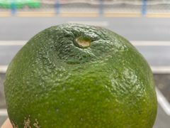 -苏稽跷脚牛肉(西象桥店)