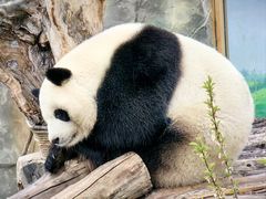 -青藏高原野生动物园