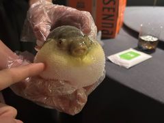 -肆月河豚·淮扬菜·湘菜(华天店)